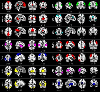 Abnormal Dynamic Functional Connectivity in Patients With End-Stage Renal Disease